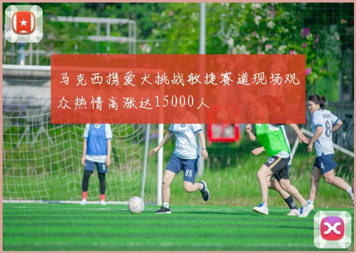 马克西携爱犬挑战敏捷赛道现场观众热情高涨达15000人