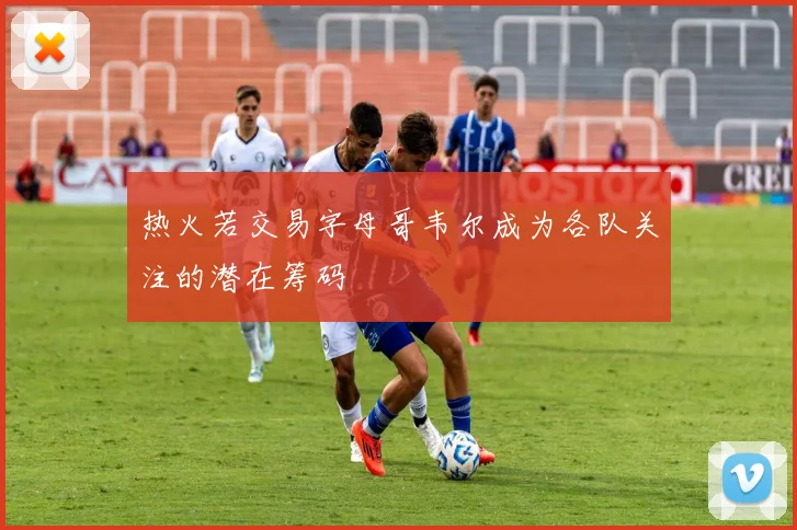 热火若交易字母哥韦尔成为各队关注的潜在筹码