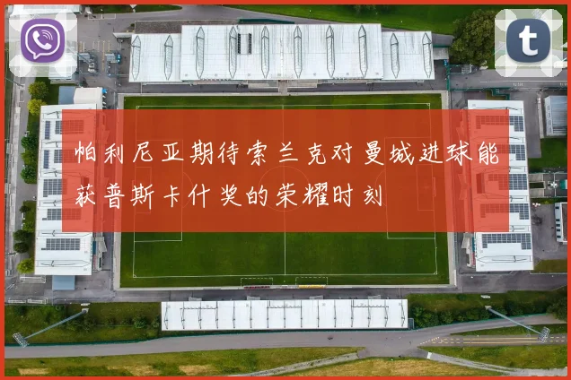 帕利尼亚期待索兰克对曼城进球能获普斯卡什奖的荣耀时刻