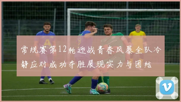 常规赛第12轮迎战青春风暴全队冷静应对成功夺胜展现实力与团结